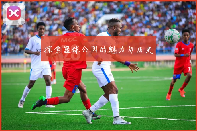 探索篮球公园的魅力与历史